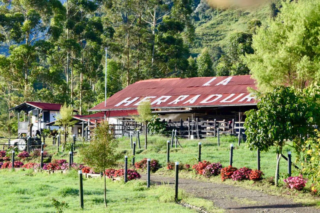 La Herradura Lodge Santa Rosa de Cabal Εξωτερικό φωτογραφία